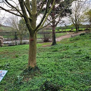 Waterfowl exhibit #1 -Zoo de Santillana del Mar (2023)