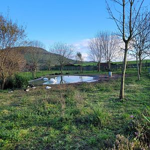 Waterfowl exhibit #2 -Zoo de Santillana del Mar (2023)