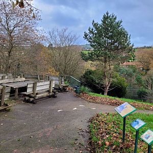 Picnic area -Zoo de Santillana del Mar (2023)