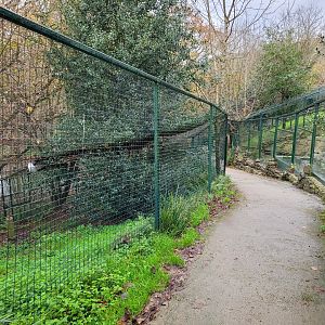 View down the owl exhibits -Zoo de Santillana del Mar (2023)