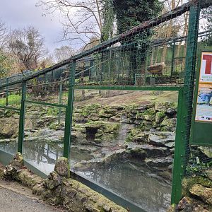 European otter exhibit -Zoo de Santillana del Mar (2023)