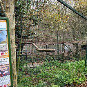 Common barn owl exhibit -Zoo de Santillana del Mar (2023)