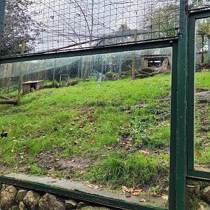 Northern lynx exhibit -Zoo de Santillana del Mar (2023)