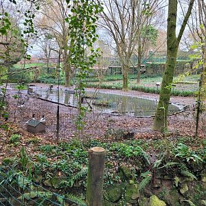 Waterfowl exhibit #3 -Zoo de Santillana del Mar (2023)