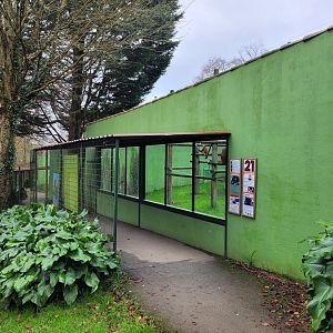 Sumatran orangutan exhibits -Zoo de Santillana del Mar (2023)