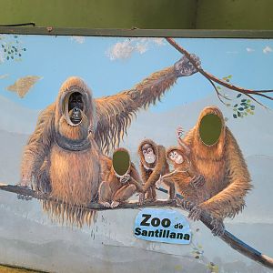Photo opportunity -Zoo de Santillana del Mar (2023)