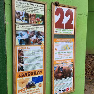 Sumatran orangutan signae -Zoo de Santillana del Mar (2023)