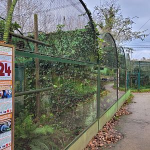 View of tamarin and marmoset enclosures -Zoo de Santillana del Mar (2023)