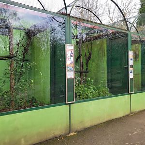 Marmoset and tamarin enclosures -Zoo de Santillana del Mar (2023)