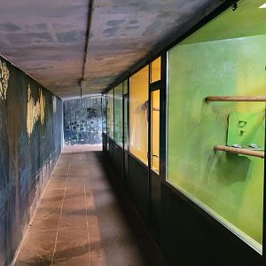 Tamarin and marmoset house -Zoo de Santillana del Mar (2023)