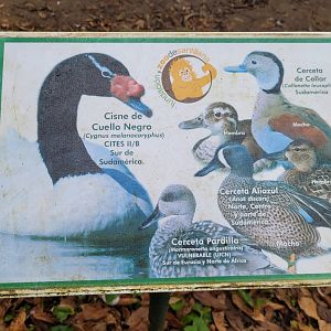 Waterfowl sign -Zoo de Santillana del Mar (2023)