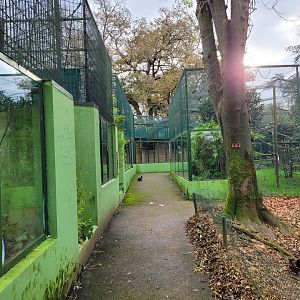 View of the primate area -Zoo de Santillana del Mar (2023)