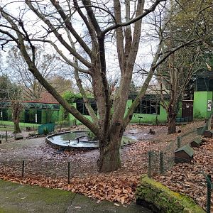 View of the primate area -Zoo de Santillana del Mar (2023)