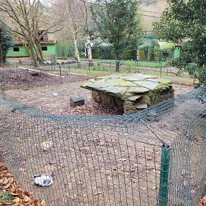 Domestic rabbit exhibit -Zoo de Santillana del Mar (2023)