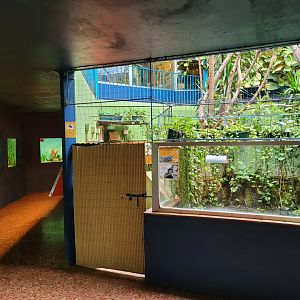 "AcuaTerrario" lower level -Zoo de Santillana del Mar (2023)