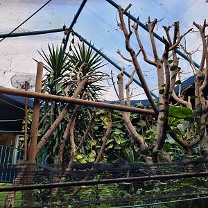 Look to the upper level -Zoo de Santillana del Mar (2023)