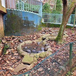 Yellow-bellied slider and Red-eared slider exhibit -Zoo de Santillana del Mar (2023)