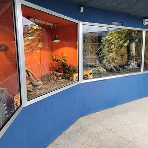 Terrariums -Zoo de Santillana del Mar (2023)