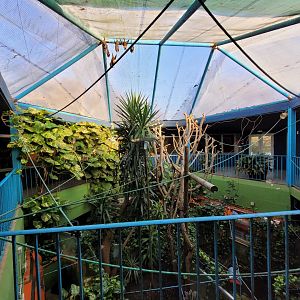 "AcuaTerrario" upper level -Zoo de Santillana del Mar (2023)