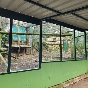 Sri Lankan leopard exhibit -Zoo de Santillana del Mar (2023)