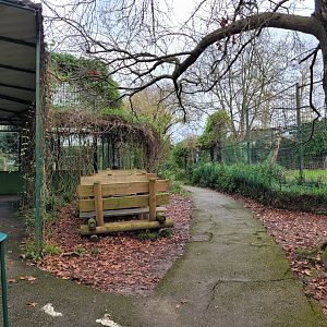 Big cat area -Zoo de Santillana del Mar (2023)