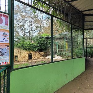 Tiger exhibit -Zoo de Santillana del Mar (2023)