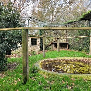 Snow leopard exhibit -Zoo de Santillana del Mar (2023)