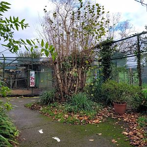 View near the aviaries -Zoo de Santillana del Mar (2023)