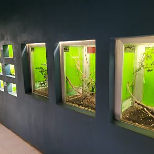 Invertebrate terrariums -Zoo de Santillana del Mar (2023)