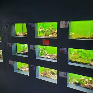 Invertebrate terrariums -Zoo de Santillana del Mar (2023)