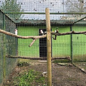 Bird House outdoors aviary #1 -Zoo de Santillana del Mar (2023)
