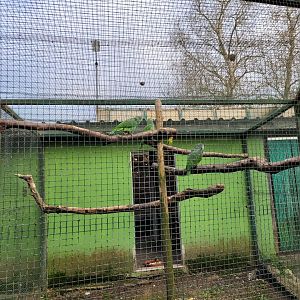 Bird House outdoors aviary #2 -Zoo de Santillana del Mar (2023)
