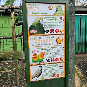 Signae -Zoo de Santillana del Mar (2023)