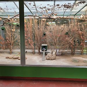 Bird House indoors exhibit #1 -Zoo de Santillana del Mar (2023)