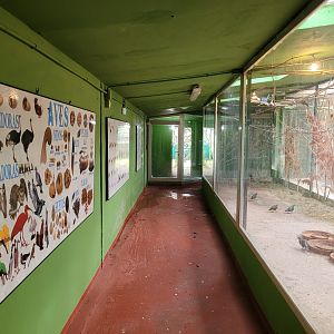 Bird House view and indoors exhibit #2 -Zoo de Santillana del Mar (2023)