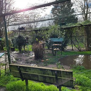 Walkthrough Aviary #1 -Zoo de Santillana del Mar (2023)