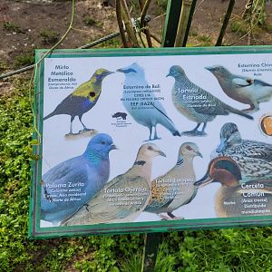 Sign -Zoo de Santillana del Mar (2023)