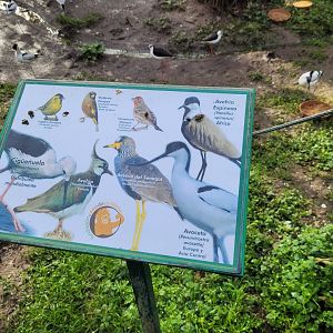 Sign -Zoo de Santillana del Mar (2023)