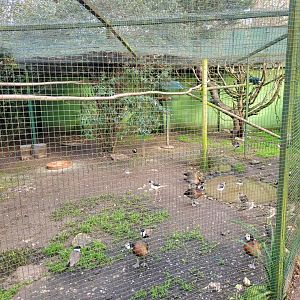 Bird House outdoors aviary #4 -Zoo de Santillana del Mar (2023)