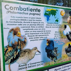 Ruff sign -Zoo de Santillana del Mar (2023)
