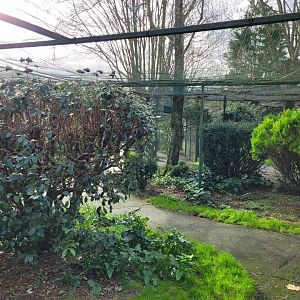 Walkthrough Aviary #2 -Zoo de Santillana del Mar (2023)