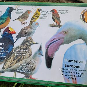 Sign -Zoo de Santillana del Mar (2023)