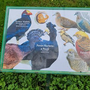 Sign -Zoo de Santillana del Mar (2023)