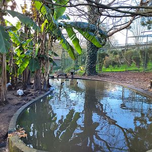 Waterfowl exhibit #9 -Zoo de Santillana del Mar (2023)