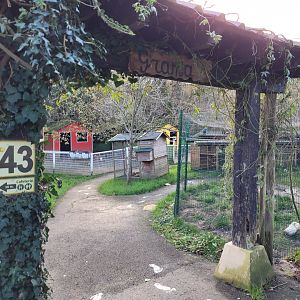 Entrance to the Farm -Zoo de Santillana del Mar (2023)
