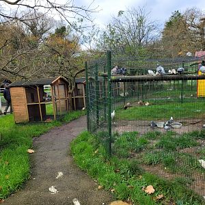 Chicken and Pigeon coops -Zoo de Santillana del Mar (2023)