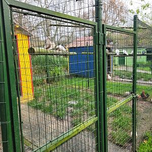 Chicken and Pigeon coops -Zoo de Santillana del Mar (2023)