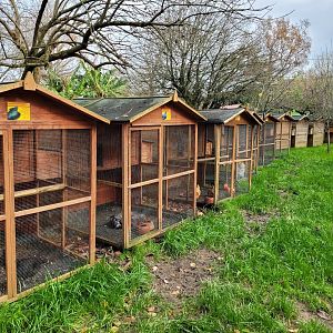 Chicken and Pigeon coops -Zoo de Santillana del Mar (2023)