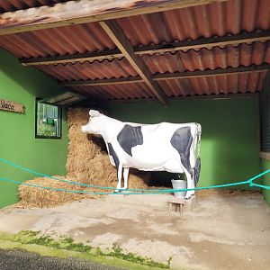 Plastic cow -Zoo de Santillana del Mar (2023)