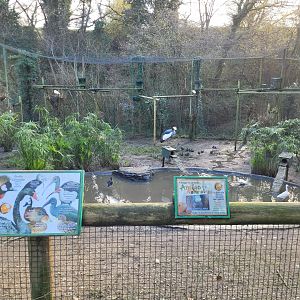 Walkthrough Aviary #7 -Zoo de Santillana del Mar (2023)